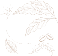 About Shape